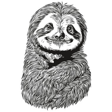 Siyah ve beyaz doğrusal boya Sloth vektör çizimi Tembel