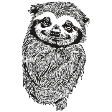 Beyaz arkaplandaki Tembel 'in silüetinin vektör görüntüsü, Tembel