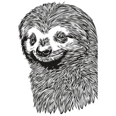 Tembel hayvan, beyaz arka planda bir Tembel 'in grafik portresi, Tembel.