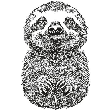 Tembel hayvan, beyaz arka planda bir Tembel 'in grafik portresi, Tembel.