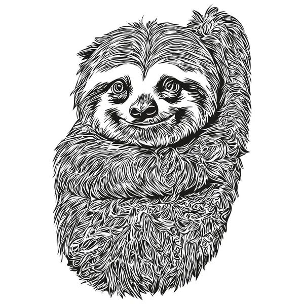 Cartone Animato Sloth Disegnato Mano Illustrazione Vettoriale Vintage Sloth — Vettoriale Stock