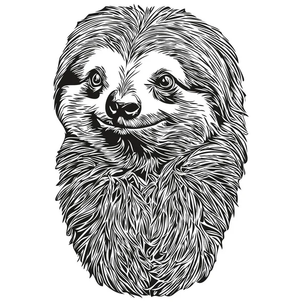 Graveren Sloth Illustratie Vintage Hand Tekening Stijl Sloth — Stockvector