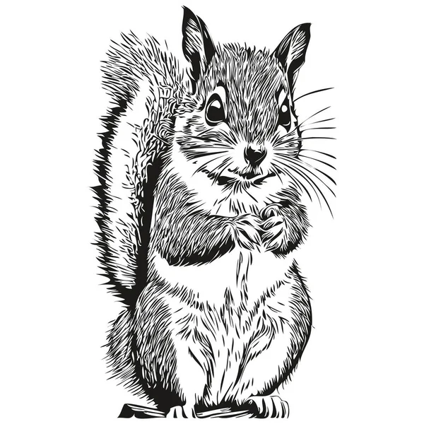 Esquilo Logotipo Preto Branco Ilustração Mão Desenho Bebê Esquilo — Vetor de Stock