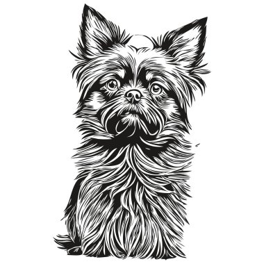 Afenpinscher köpek eli çizilmiş logo siyah beyaz çizgi çiziyor sanat hayvanları resmedilmiş gerçekçi evcil hayvan