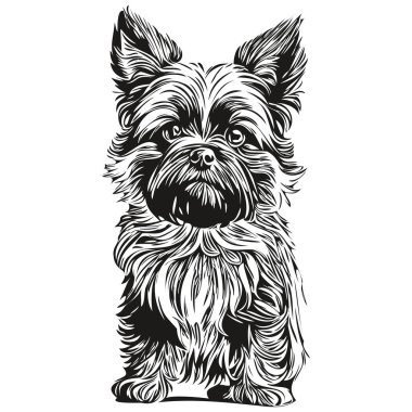 Afenpinscher köpek kalem el çizim vektörü, taslak çizim evcil hayvan yüz logosu siyah ve beyaz
