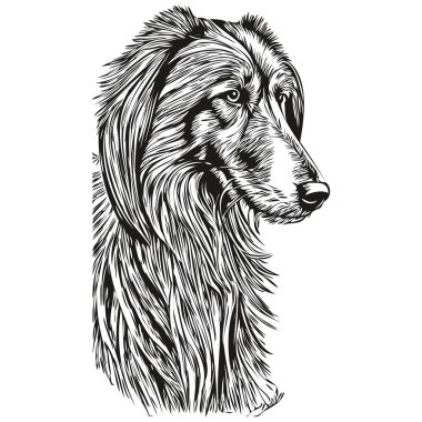 Afgan av köpeği siyah çizim vektörü, izole yüz boyama çizim çizimi çizimi çizimi