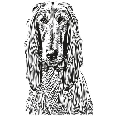 Afgan av köpeği el çizimi siyah beyaz çizgi çizen resim çizimi.