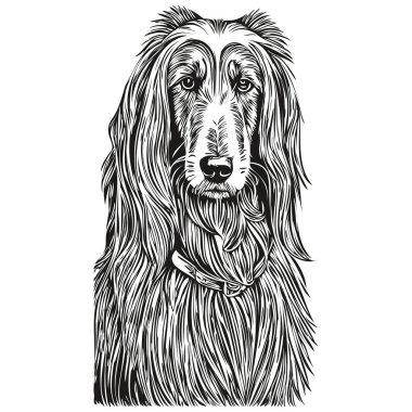 Afgan av köpeği vektör grafikleri, el çizimi kalem hayvan çizgisi çizimi çizimi çizimi