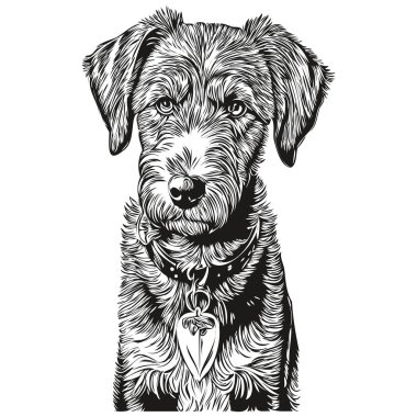 Airedale Terrier köpek oymalı vektör portresi, karikatür vintage çizimi siyah beyaz gerçekçi evcil hayvan