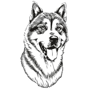 Akita köpeği siyah çizim vektörü, izole yüz boyası çizim çizgisi çizimi gerçekçi hayvan türü.