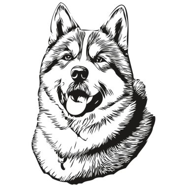 Akita köpek oymalı vektör portresi, karikatür vintage siyah beyaz çizim