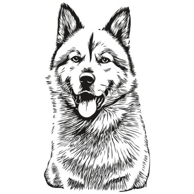 Akita köpek eli çizilmiş logo siyah beyaz çizgi çiziyor sanat hayvanları resmedilmiş gerçekçi evcil hayvan.