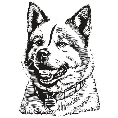 Akita köpek başı çizim vektörü, el çizimi çizimi, şeffaf arkaplan çizimi