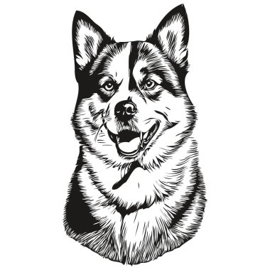 Akita köpeği mürekkep çizimi, klasik dövme veya tişört baskısı siyah-beyaz vektör çizimi