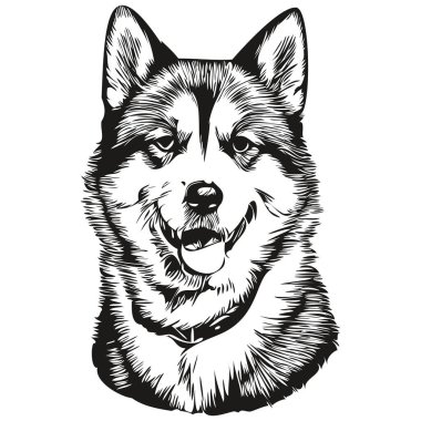 Akita köpek çizgisi çizimi, vektör çiziminde siyah ve beyaz çizim.