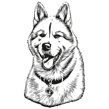 Akita köpek vektör grafikleri, elle çizilmiş kalem hayvan çizgisi çizimleri