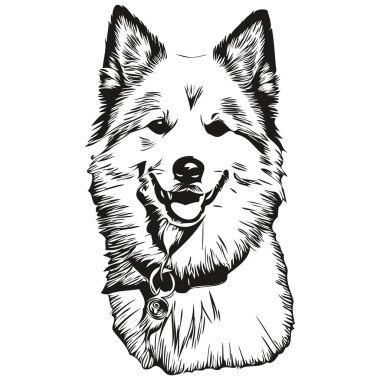 Amerikan Eskimo köpek cinsi çizimi, klipsli hayvan eli siyah beyaz çizim vektörü