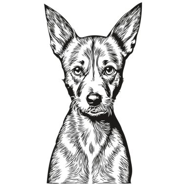Amerikan Kılsız Teriyer köpek eli logo çizdi siyah beyaz çizgi çizdi sanat hayvanları resmedildi gerçekçi evcil hayvan