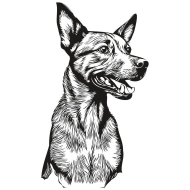 Amerikan Kılsız Teriyer köpek çizgisi çizimi, vektör içinde siyah beyaz mürekkep çizimi.