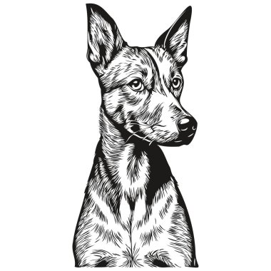 Amerikan Kılsız Teriyer köpek kalemi çizim vektörü, taslak çizim evcil hayvan yüz logosu siyah ve beyaz