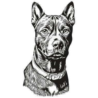 American Staffordshire Terrier köpek çiftliği çizimi, klipsli hayvan eli çizimi siyah ve beyaz vektör