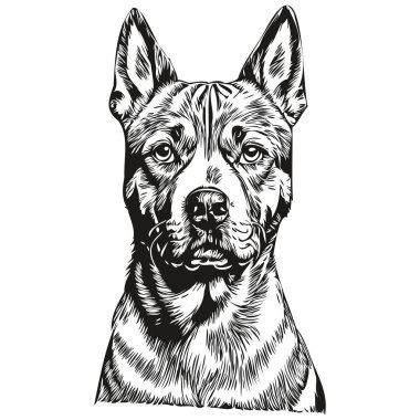 American Staffordshire Terrier köpek eli siyah beyaz çizgi çizen resim çizimi