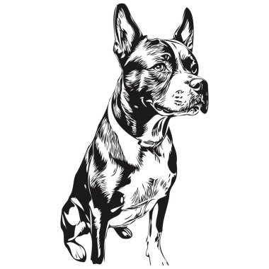 American Staffordshire Terrier köpek taslak kalem çizimi, beyaz arkaplanda siyah karakter