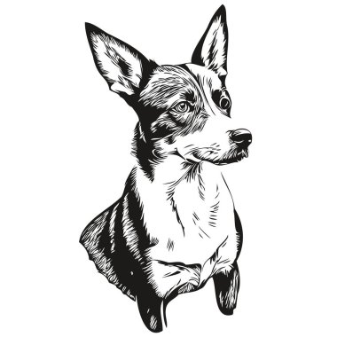 Basenji köpek çiftleşmesi çizimi, klipsli hayvan eli vektör siyah ve beyaz gerçekçi evcil hayvan.