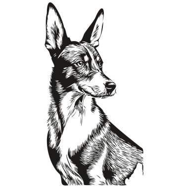 Basenji köpek çizgi filmi yüz mürekkep portresi, siyah beyaz çizim, tişört izi.