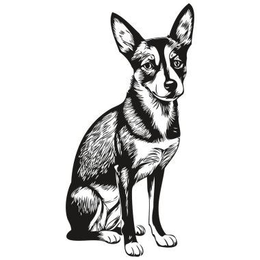 Basenji köpek logosu siyah-beyaz, klasik köpek kafası oymalı gerçekçi bir evcil hayvan.