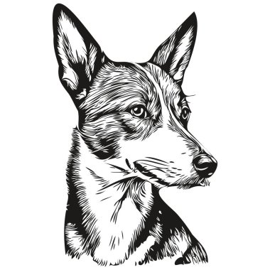 Basenji köpek evcil hayvan tasviri, siyah beyaz oyma vektörü gerçekçi evcil hayvan.