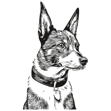Basenji köpek hayvan resmi, siyah-beyaz oyma vektörü