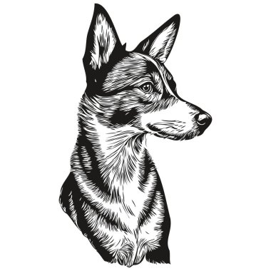 Basenji köpek silueti evcil hayvan karakteri, klipsli sanat vektörü evcil hayvanları siyah beyaz çiziyor