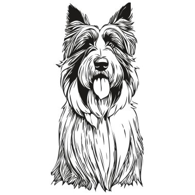 Sakallı Collie köpek taslak çizimi çizimi, beyaz arka planda siyah karakter köpek çizimi