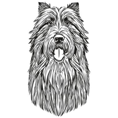 Sakallı Collie köpek kalemi çizim vektörü, ana hatlı çizim evcil hayvan yüz logosu siyah ve beyaz gerçekçi evcil hayvan.