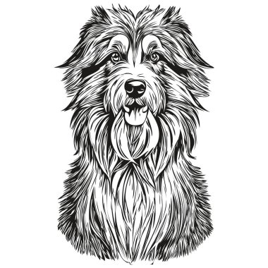 Sakallı Collie köpeği hayvan silueti, hayvan çizgisi çizim eli siyah beyaz vektör