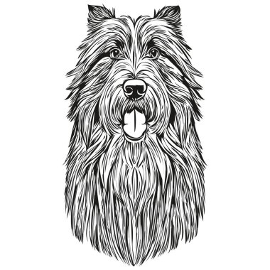 Sakallı Collie köpek vektör grafikleri, el çizimi kalem hayvan çizgisi çizimleri