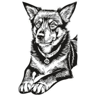 Güzel köpek gerçekçi hayvan çizimi, el çizimi siyah beyaz vektör