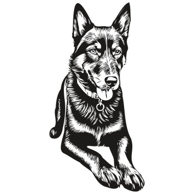 Beauceron köpek vektör grafikleri, elle çizilmiş kalem hayvan çizgisi çizimleri