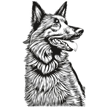 Belçika çoban köpeği mürekkebi çizimi, klasik dövme ya da tişört baskısı siyah beyaz vektör gerçekçi evcil hayvan.