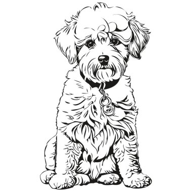 Bichons Frise köpek evcil hayvan tasviri, siyah-beyaz oyma vektörü gerçekçi hayvan.