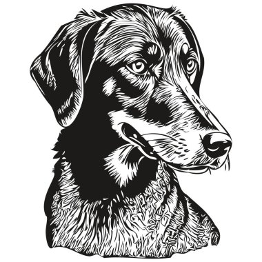 Siyah ve Tan Coonhound köpek çizgi film yüz mürekkep portresi, siyah ve beyaz çizim, tişört baskısı çizimi
