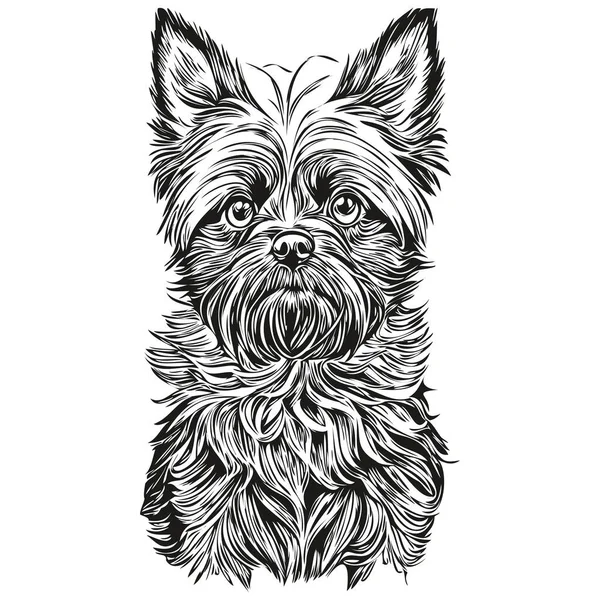 Affenpinscher Dog Engraved Vector Portrait Face Cartoon Vintage Drawing Black — Stock Vector