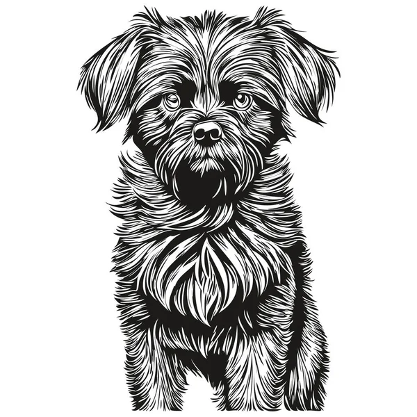 Affenpinscher Собака Обличчя Векторний Портрет Смішний Контур Домашніх Тварин Ілюстрація — стоковий вектор