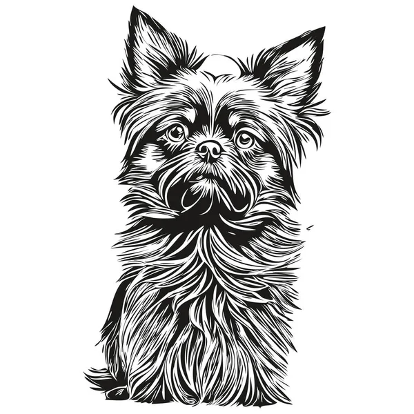 Affenpinscher Cão Mão Desenhada Logotipo Desenho Preto Branco Linha Arte — Vetor de Stock