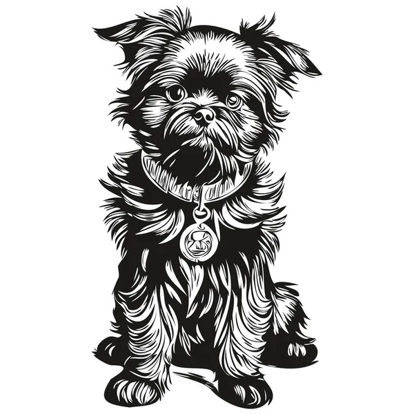 Affenpinscher Dog Logo Vector Black White Vintage Cute Dog Head — Stock Vector