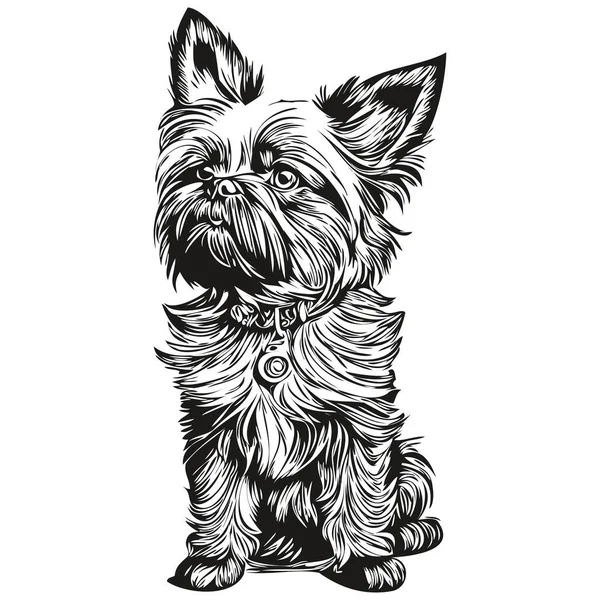 Affenpinscher Cão Esboço Lápis Desenho Arte Personagem Preto Fundo Branco — Vetor de Stock