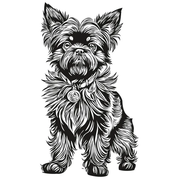 Affenpinscher Cane Matita Mano Disegno Vettore Contorno Illustrazione Pet Faccia — Vettoriale Stock