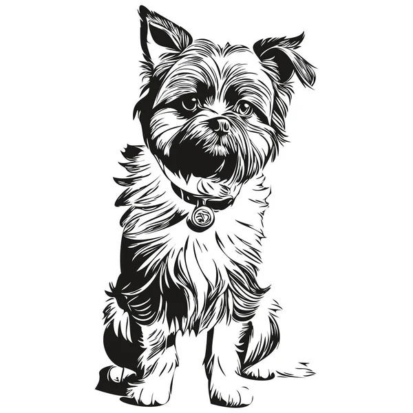 Affenpinscher Cão Pet Silhueta Animal Linha Ilustração Mão Desenhado Preto — Vetor de Stock