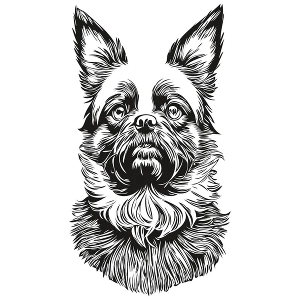 Affenpinscher Dog Pet Sketch Illustration Black White Engraving Vector Real — 스톡 벡터